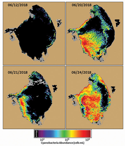 Cyanobacteria Lake O 6.2018