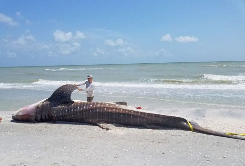 5I5GEBN4W5H5LE57KQLVK7U5OI